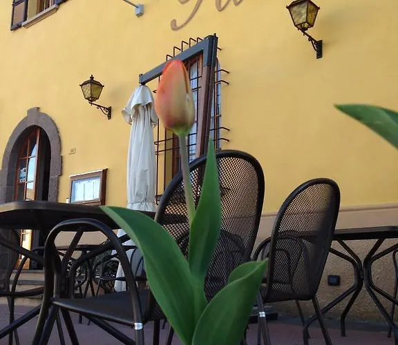Hotel Ristorante Il Cervo